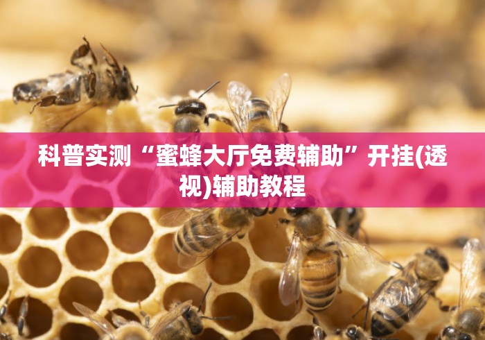 科普实测“蜜蜂大厅免费辅助”开挂(透视)辅助教程