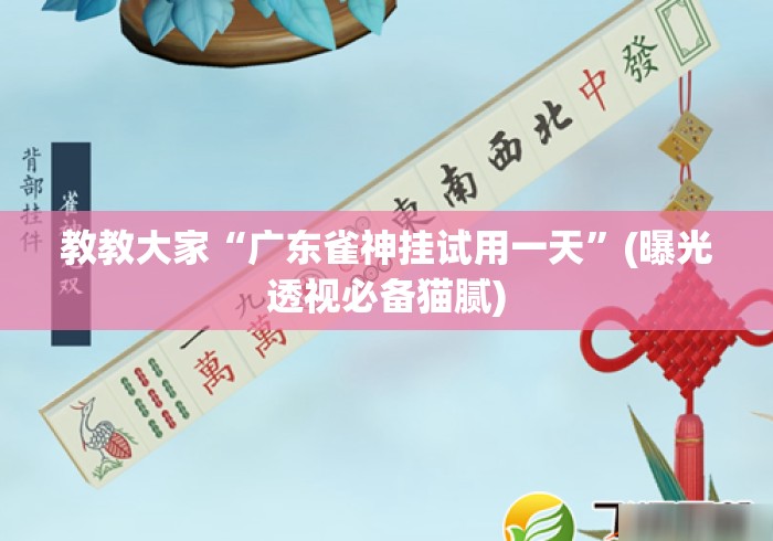 教教大家“广东雀神挂试用一天”(曝光透视必备猫腻)