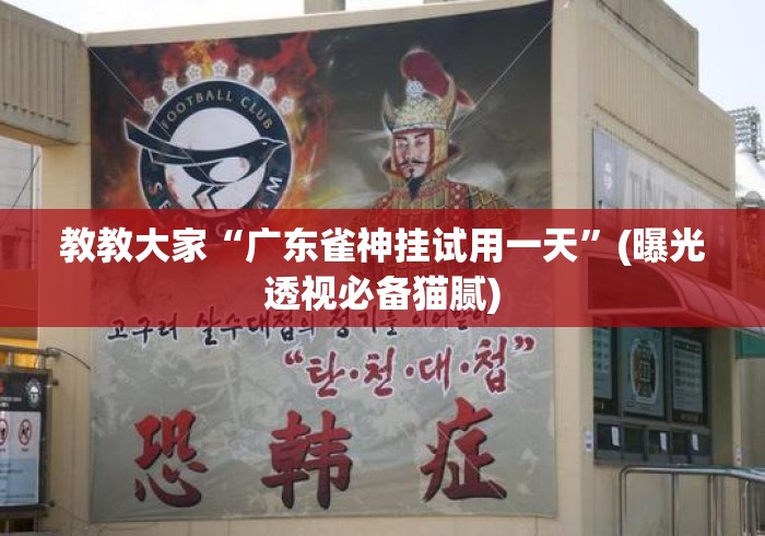 教教大家“广东雀神挂试用一天	”(曝光透视必备猫腻)