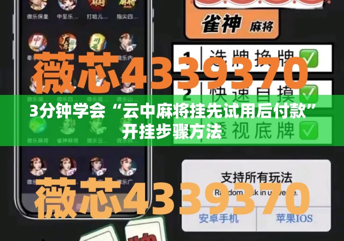 3分钟学会“云中麻将挂先试用后付款”开挂步骤方法