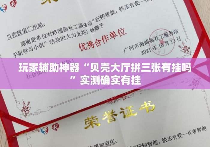 玩家辅助神器“贝壳大厅拼三张有挂吗”实测确实有挂