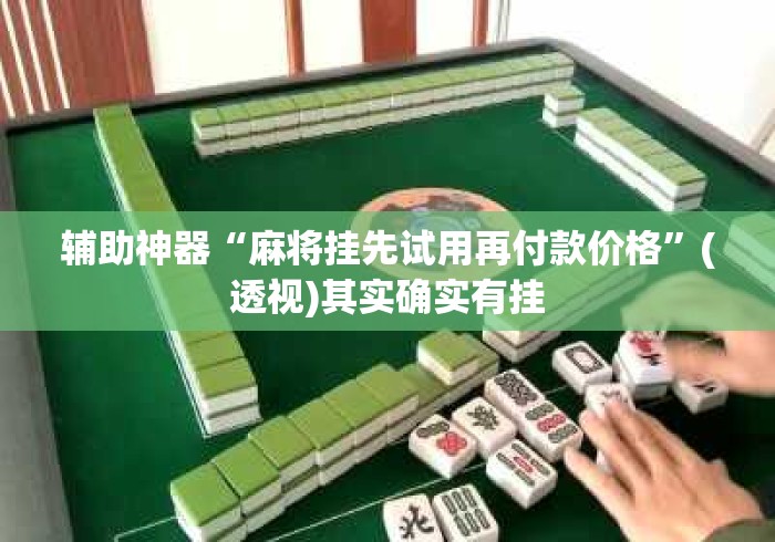 辅助神器“麻将挂先试用再付款价格”(透视)其实确实有挂