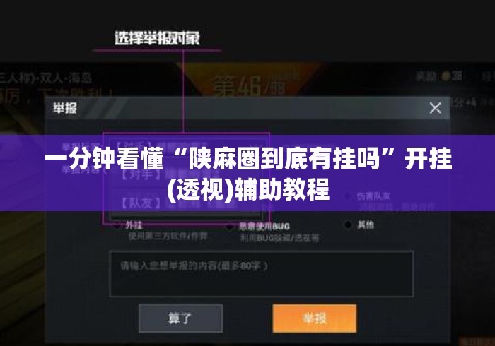 一分钟看懂“陕麻圈到底有挂吗”开挂(透视)辅助教程