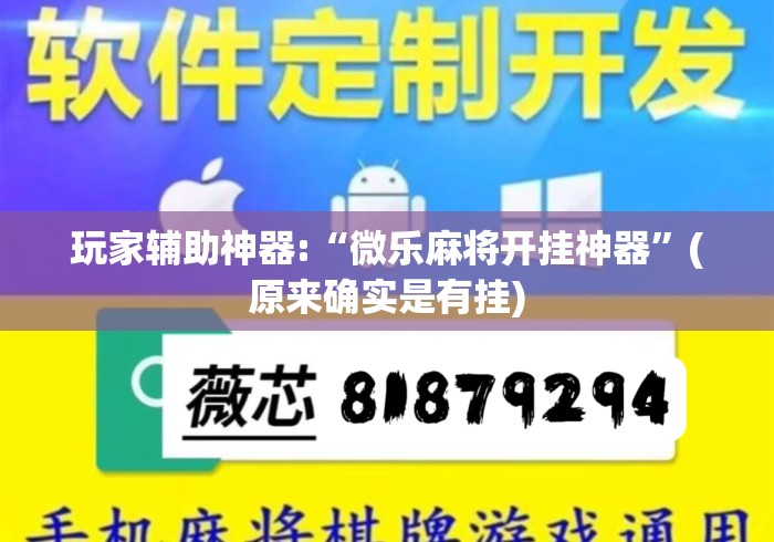 玩家辅助神器:“微乐麻将开挂神器”(原来确实是有挂)