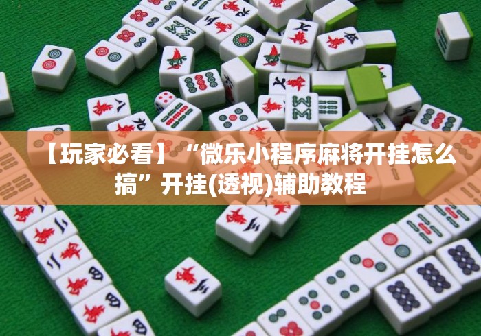 【玩家必看】“微乐小程序麻将开挂怎么搞”开挂(透视)辅助教程