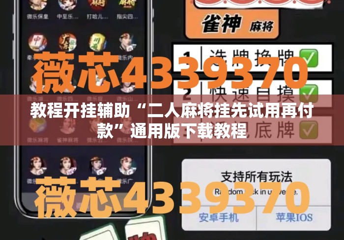 教程开挂辅助“二人麻将挂先试用再付款	”通用版下载教程