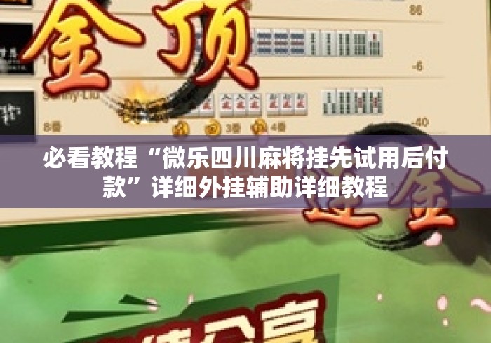 必看教程“微乐四川麻将挂先试用后付款”详细外挂辅助详细教程