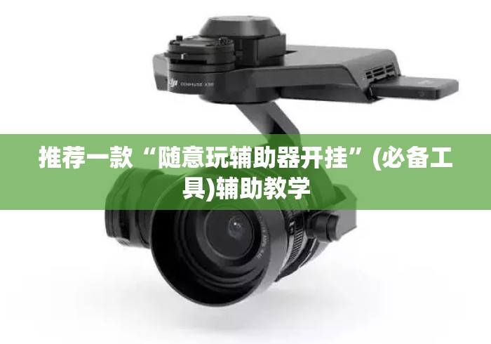 推荐一款“随意玩辅助器开挂”(必备工具)辅助教学