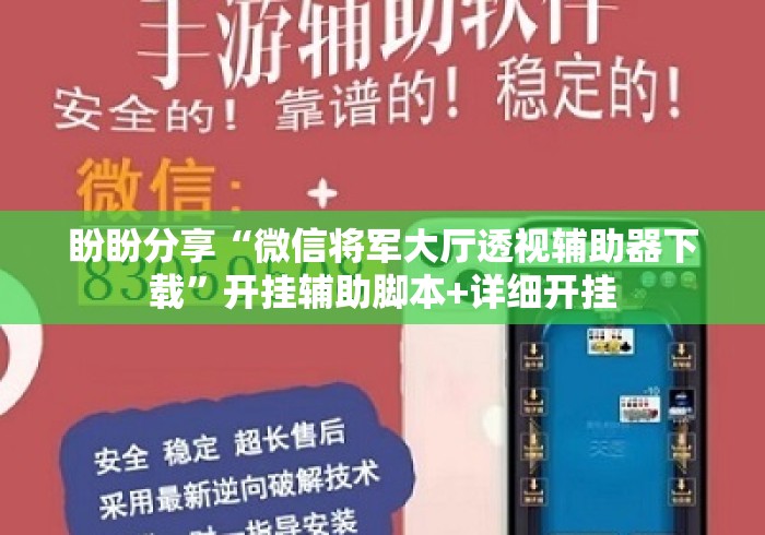 盼盼分享“微信将军大厅透视辅助器下载	”开挂辅助脚本+详细开挂