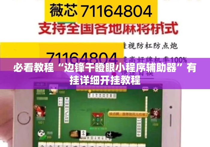 必看教程“边锋干瞪眼小程序辅助器”有挂详细开挂教程