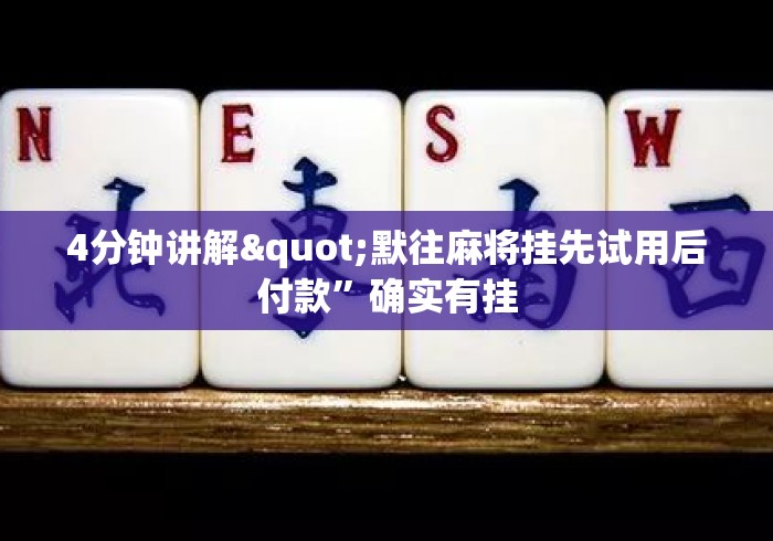 4分钟讲解"默往麻将挂先试用后付款	”确实有挂