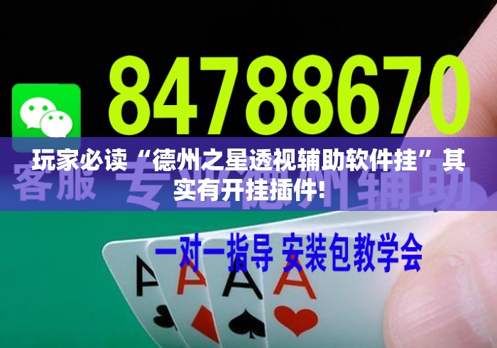 玩家必读“德州之星透视辅助软件挂”其实有开挂插件!