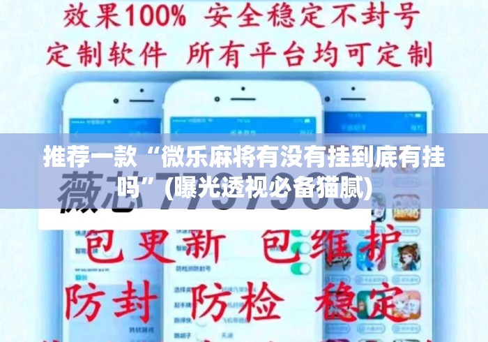 推荐一款“微乐麻将有没有挂到底有挂吗”(曝光透视必备猫腻)