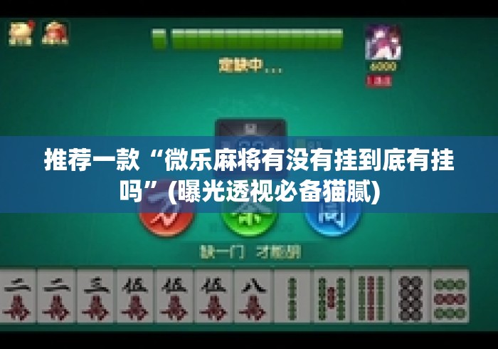 推荐一款“微乐麻将有没有挂到底有挂吗”(曝光透视必备猫腻)