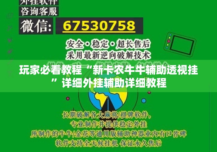 玩家必看教程“新卡农牛牛辅助透视挂”详细外挂辅助详细教程