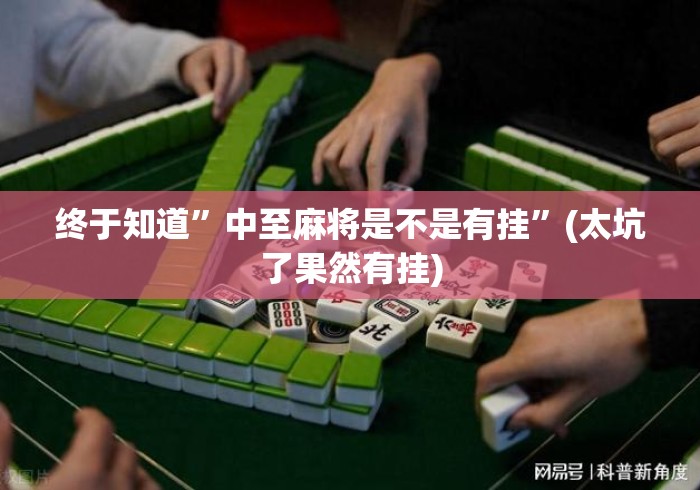 终于知道	”中至麻将是不是有挂”(太坑了果然有挂)