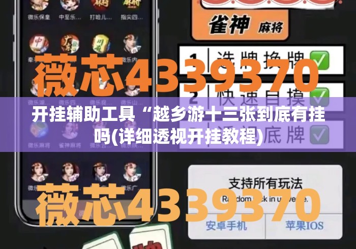 开挂辅助工具“越乡游十三张到底有挂吗(详细透视开挂教程)