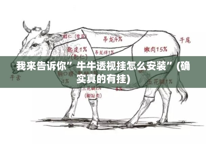 我来告诉你	”牛牛透视挂怎么安装”(确实真的有挂)