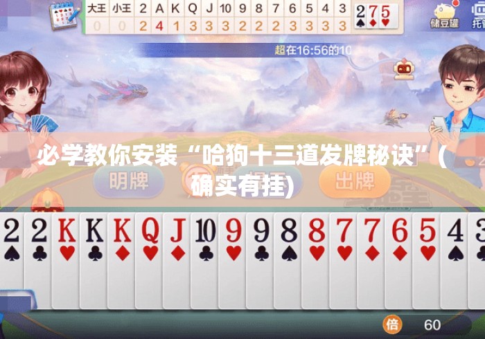 必学教你安装“哈狗十三道发牌秘诀	”(确实有挂)