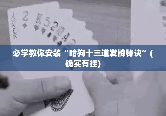 必学教你安装“哈狗十三道发牌秘诀”(确实有挂)