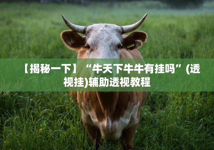 【揭秘一下】“牛天下牛牛有挂吗	”(透视挂)辅助透视教程