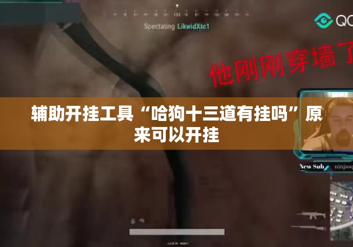 辅助开挂工具“哈狗十三道有挂吗	”原来可以开挂