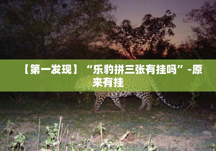 【第一发现】“乐豹拼三张有挂吗”-原来有挂