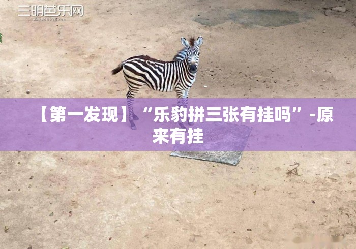 【第一发现】“乐豹拼三张有挂吗”-原来有挂