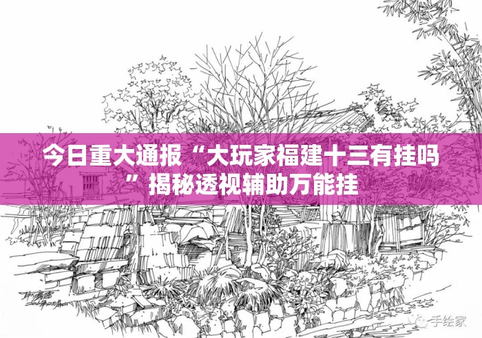 今日重大通报“大玩家福建十三有挂吗”揭秘透视辅助万能挂