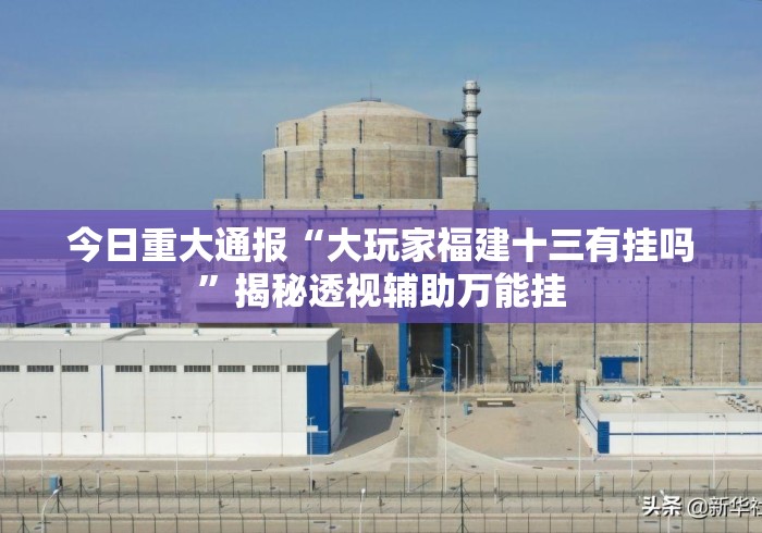 今日重大通报“大玩家福建十三有挂吗”揭秘透视辅助万能挂