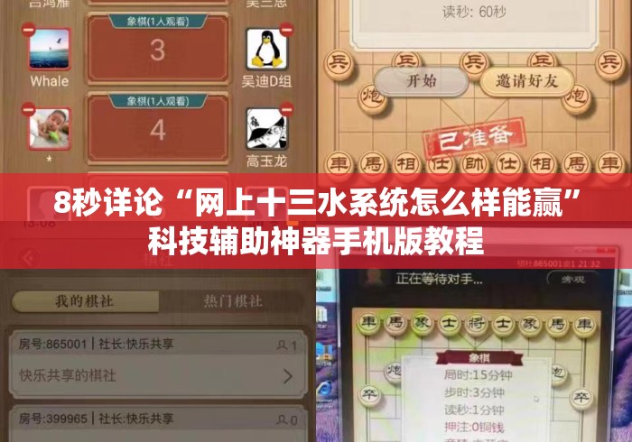 8秒详论“网上十三水系统怎么样能赢”科技辅助神器手机版教程