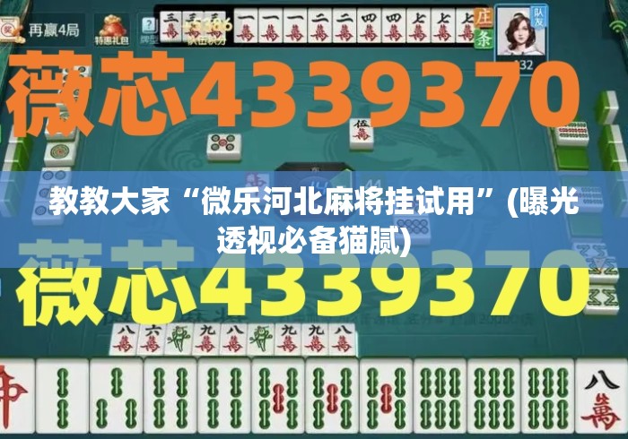 教教大家“微乐河北麻将挂试用	”(曝光透视必备猫腻)