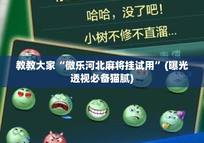 教教大家“微乐河北麻将挂试用”(曝光透视必备猫腻)
