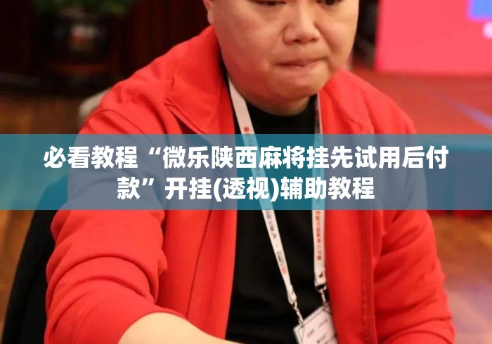 必看教程“微乐陕西麻将挂先试用后付款”开挂(透视)辅助教程
