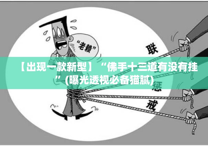 【出现一款新型】“佛手十三道有没有挂”(曝光透视必备猫腻)
