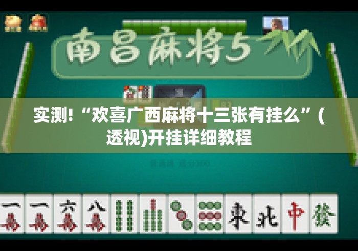 实测!“欢喜广西麻将十三张有挂么”(透视)开挂详细教程
