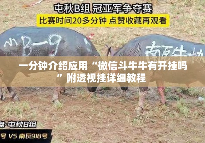 一分钟介绍应用“微信斗牛牛有开挂吗”附透视挂详细教程 