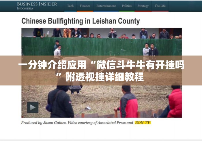 一分钟介绍应用“微信斗牛牛有开挂吗	”附透视挂详细教程 