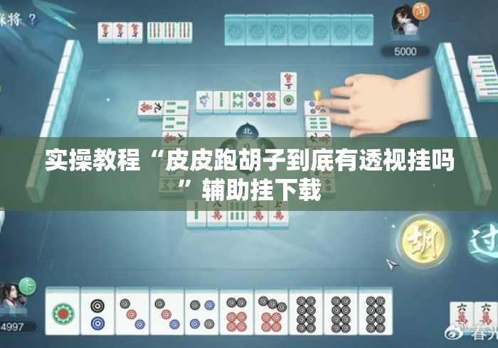 实操教程“皮皮跑胡子到底有透视挂吗”辅助挂下载