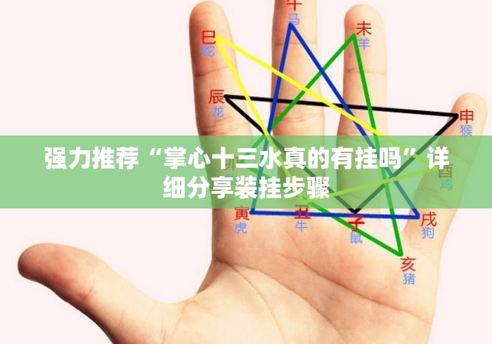 强力推荐“掌心十三水真的有挂吗”详细分享装挂步骤
