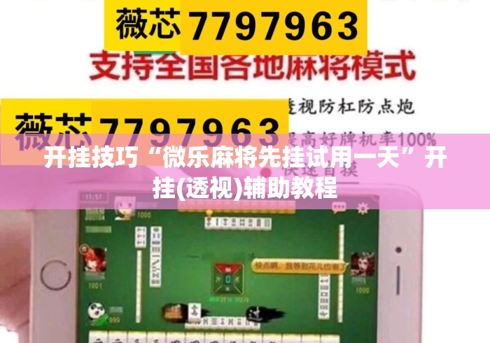开挂技巧“微乐麻将先挂试用一天”开挂(透视)辅助教程