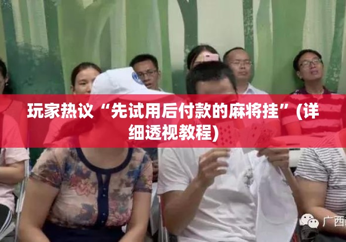 玩家热议“先试用后付款的麻将挂”(详细透视教程)