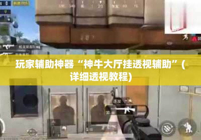 玩家辅助神器“神牛大厅挂透视辅助	”(详细透视教程)