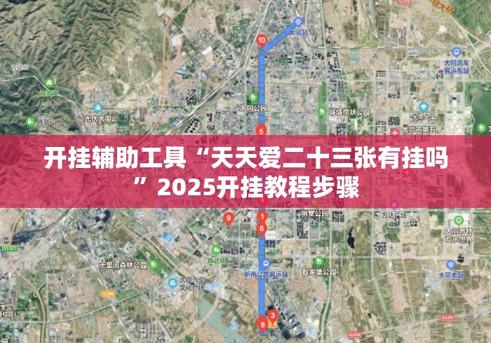 开挂辅助工具“天天爱二十三张有挂吗”2025开挂教程步骤