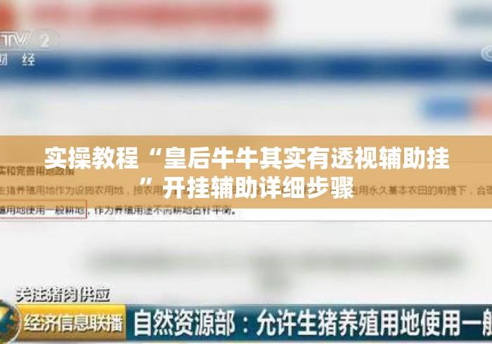 实操教程“皇后牛牛其实有透视辅助挂”开挂辅助详细步骤