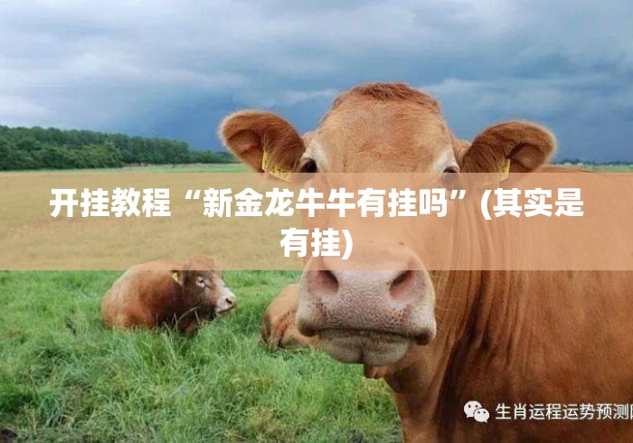 开挂教程“新金龙牛牛有挂吗”(其实是有挂)