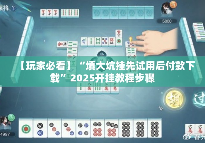 【玩家必看】“填大坑挂先试用后付款下载	”2025开挂教程步骤