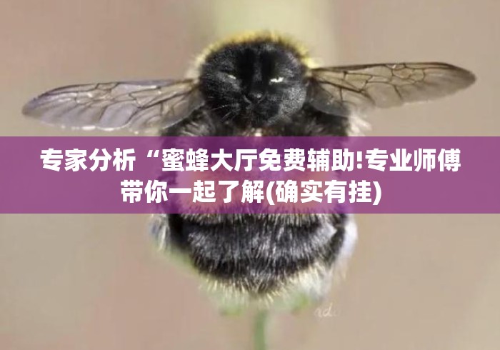 专家分析“蜜蜂大厅免费辅助!专业师傅带你一起了解(确实有挂) 专家分析“蜜蜂大厅免费辅助!专业师傅带你一起了解(确实有挂)