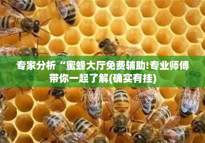 专家分析“蜜蜂大厅免费辅助!专业师傅带你一起了解(确实有挂) 专家分析“蜜蜂大厅免费辅助!专业师傅带你一起了解(确实有挂)
