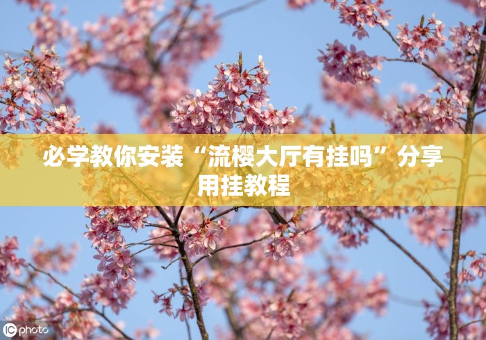 必学教你安装“流樱大厅有挂吗	”分享用挂教程